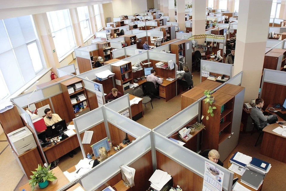 A nice office with cubicles